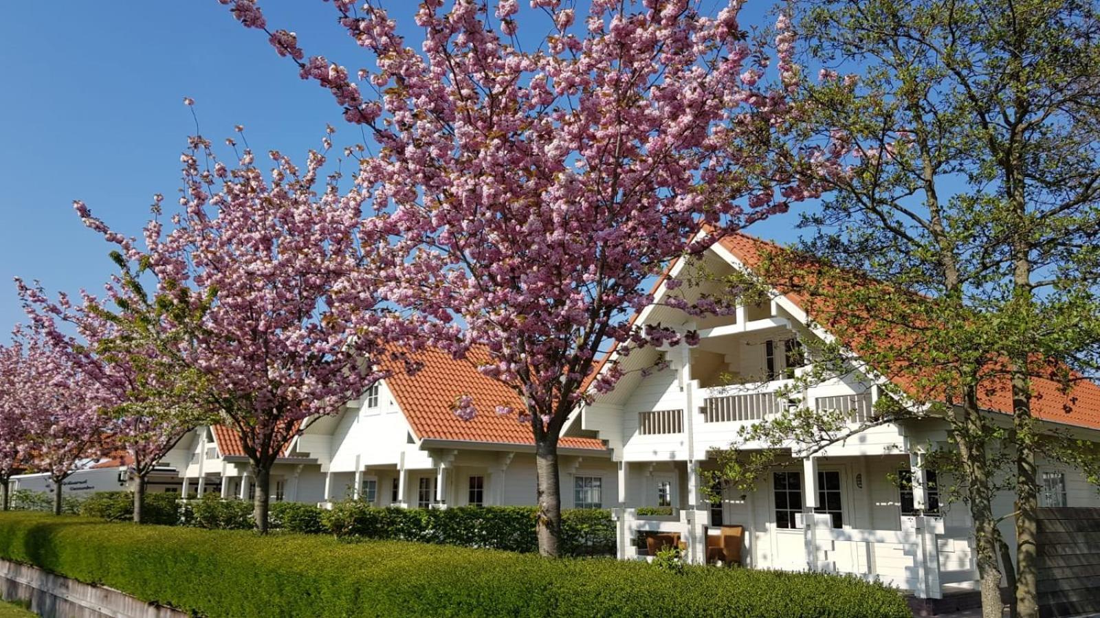 Holiday Park Dennenbos Oostkapelle Εξωτερικό φωτογραφία