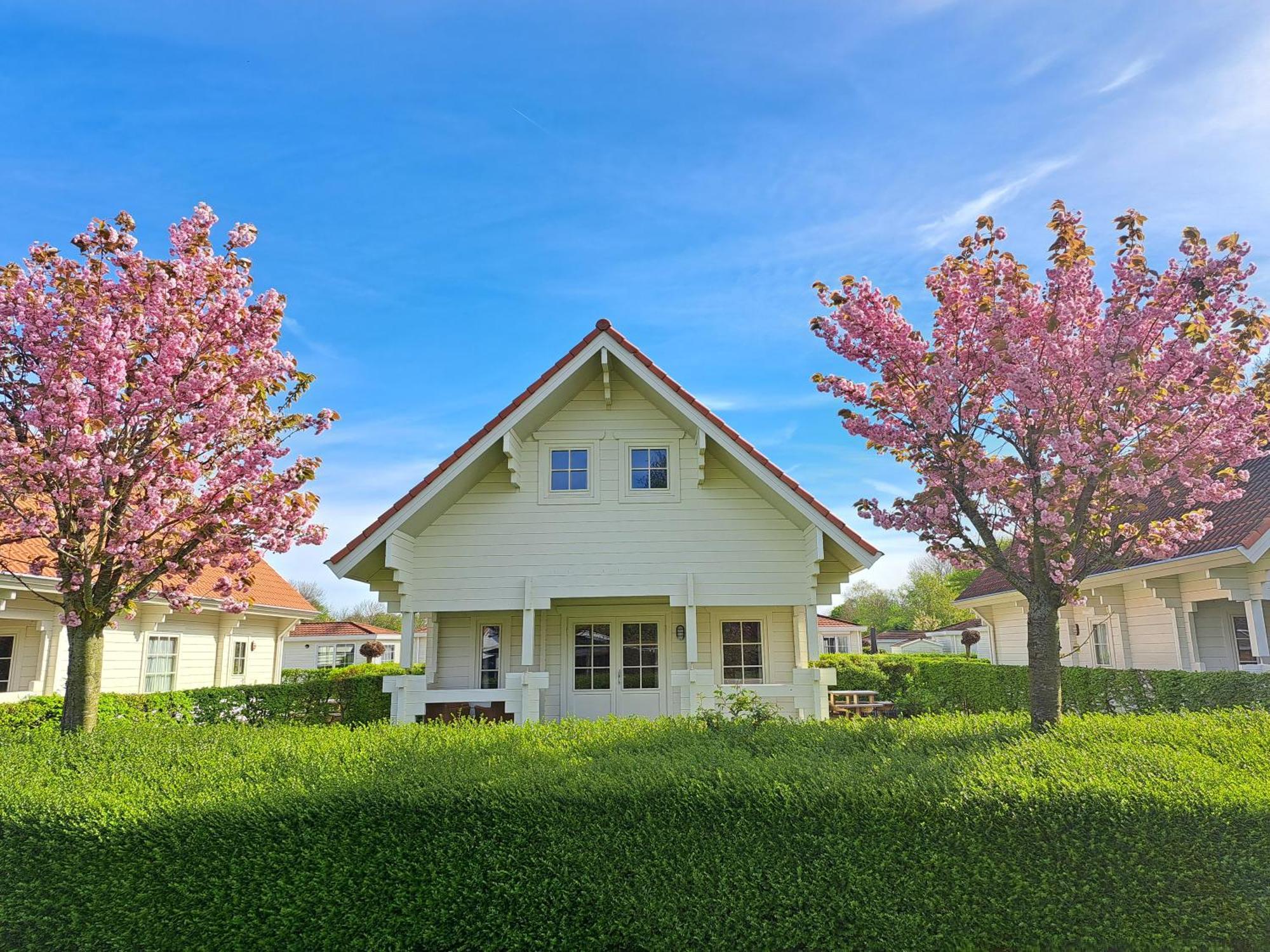 Holiday Park Dennenbos Oostkapelle Εξωτερικό φωτογραφία