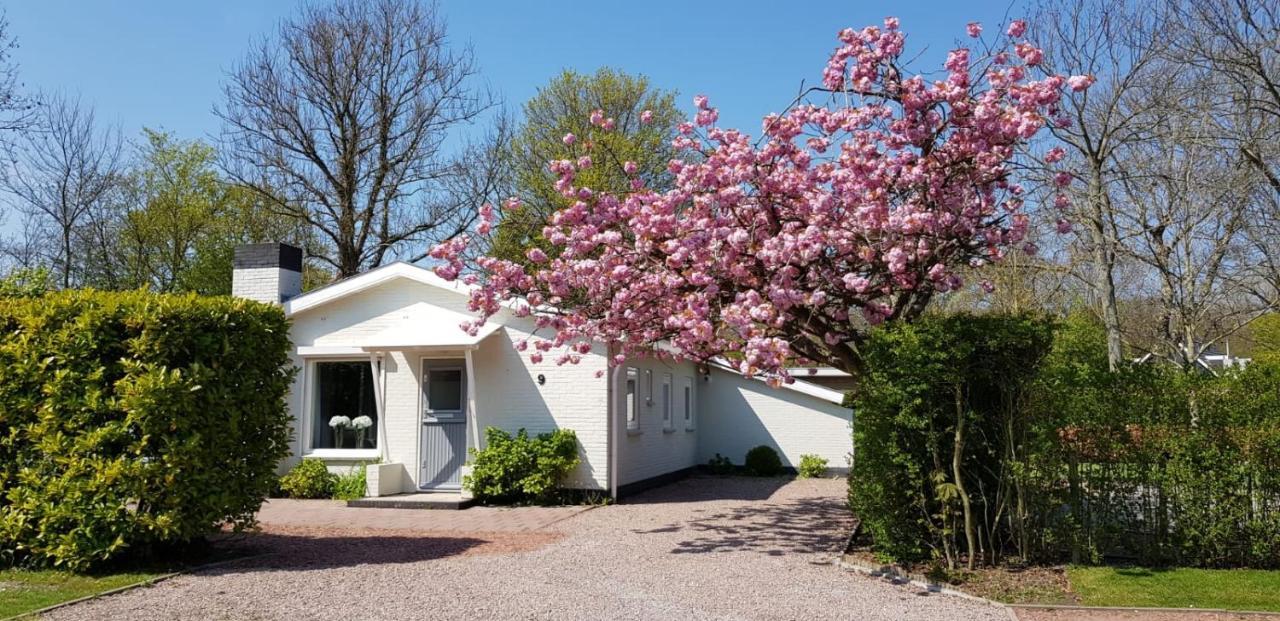 Holiday Park Dennenbos Oostkapelle Εξωτερικό φωτογραφία